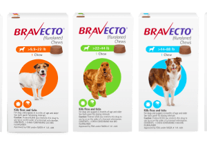 Bravecto Chews presentaciones para perros