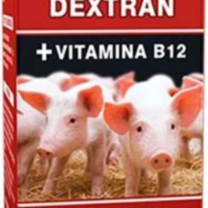EDO HIERRO DEXTRAN * 250 ML