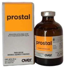 PROSTAL * 2 ML