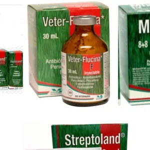 STREPTOLAND ORAL * 20 GR