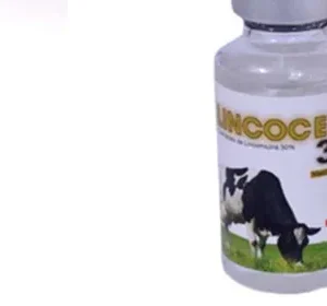 LINCOCELIN INY * 10 ML