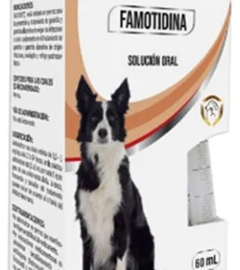 GASTRIVET * 60 ML