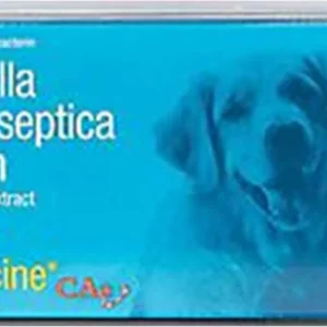 VACUNA BRONCHICINE * 1 DOSIS