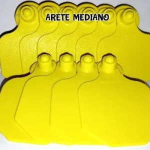 ARETE LHAURA MEDIANO