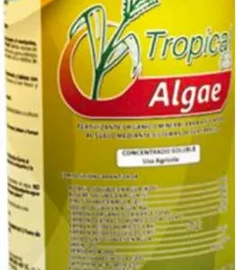ALGAE * LT