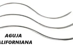 AGUJA CALIFORNIANA GRANDE * UND
