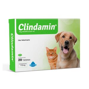 Imagen pendiente de CLINDAMIN * TABLETA