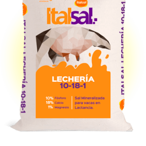 Imagen pendiente de ITALSAL LECHERIA 10% * 40 KL